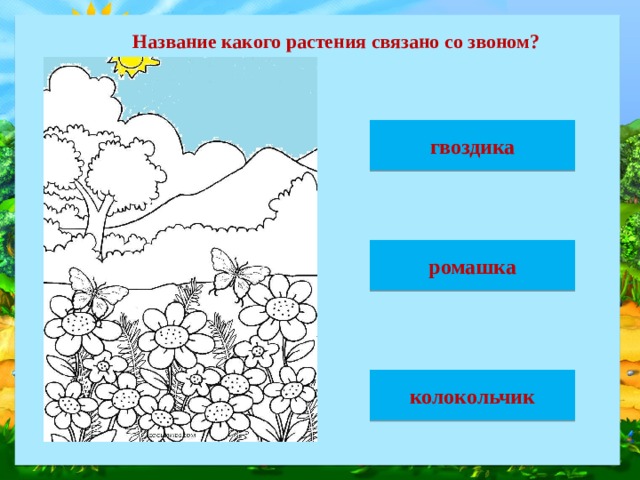 Название какого растения связано со звоном? гвоздика ромашка колокольчик
