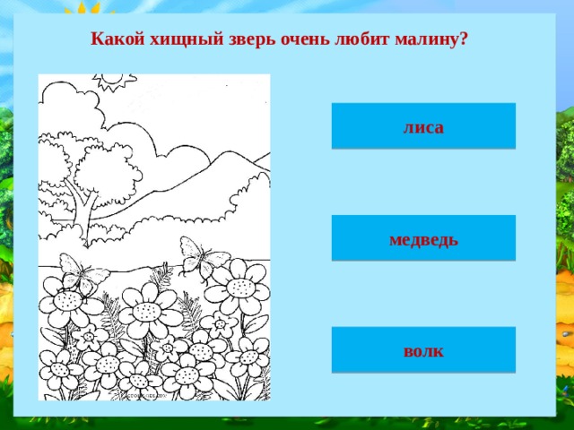 Какой хищный зверь очень любит малину? лиса медведь волк 