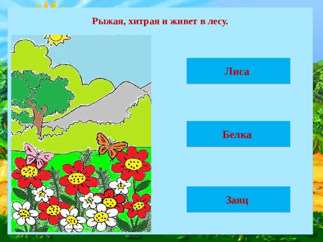 Рыжая, хитрая и живет в лесу. Лиса Белка Заяц 