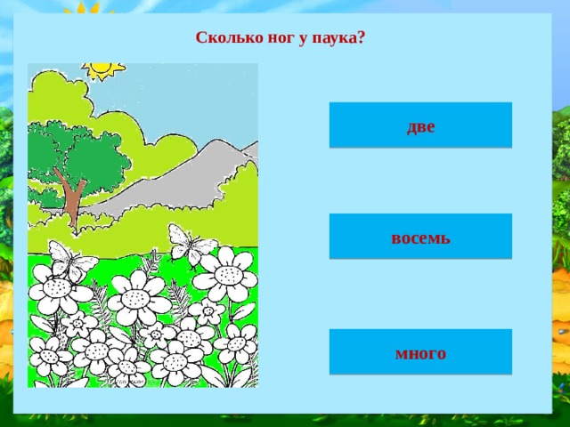 Сколько ног у паука? две восемь много 