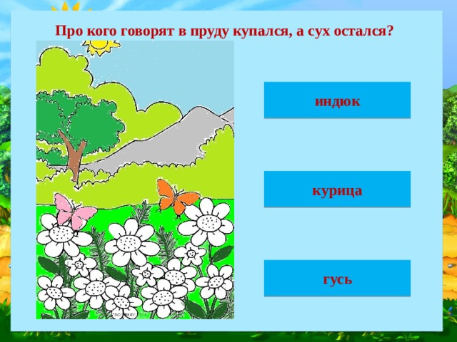 Про кого говорят в пруду купался, а сух остался? индюк курица гусь 
