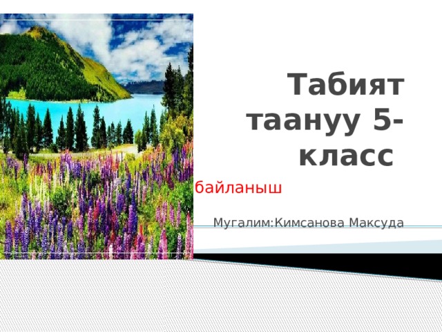 Табият таануу 5-класс Кайтарым байланыш Мугалим:Кимсанова Максуда 