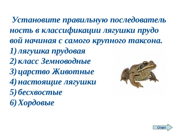 Уста­но­ви­те пра­виль­ную по­сле­до­ва­тель­ность в клас­си­фи­ка­ции ля­гуш­ки пру­до­вой на­чи­ная с са­мо­го круп­но­го так­со­на. 1)  ля­гуш­ка пру­до­вая 2)  класс Зем­но­вод­ные 3)  цар­ство Жи­вот­ные 4)  на­сто­я­щие ля­гуш­ки 5)  бес­хво­стые 6)  Хор­до­вые Ответ 