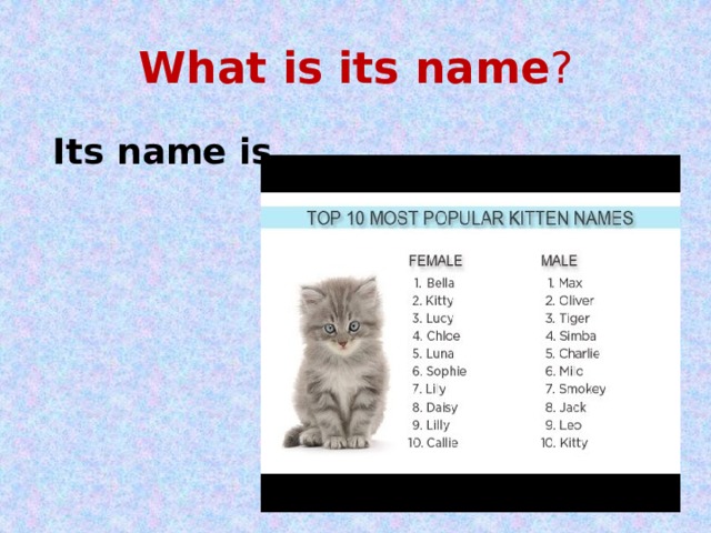 Is its. Its name. What is its name. Презентация на тему Pets в Англии. It name или its name.