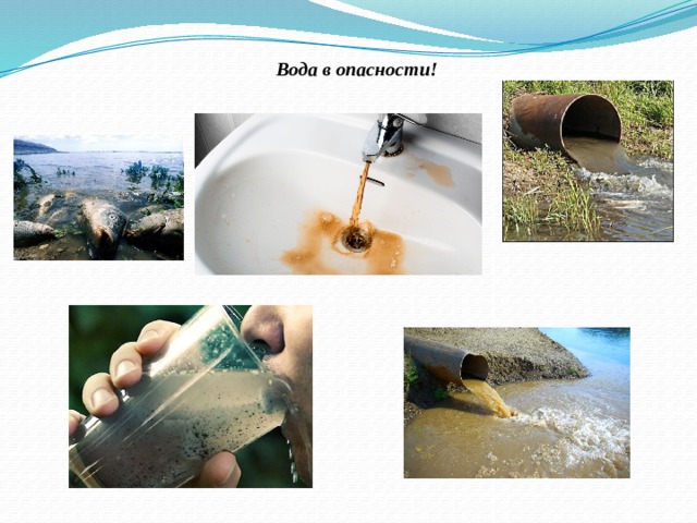 Вода в опасности! 