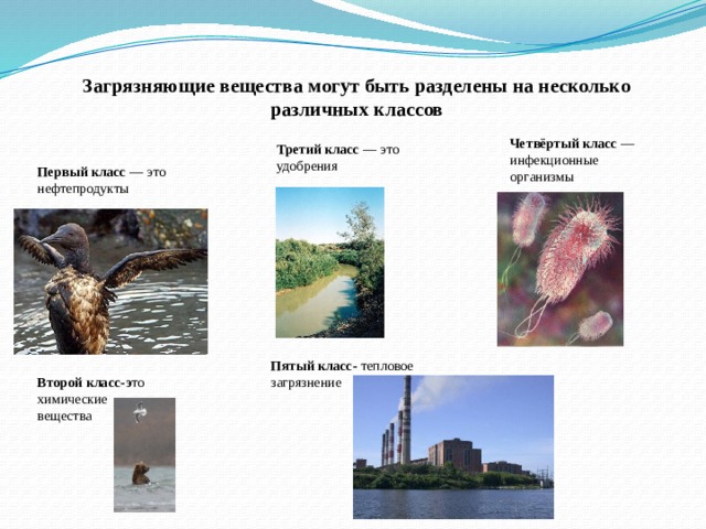 Загрязняющие вещества могут быть разделены на несколько различных классов Четвёртый класс — инфекционные организмы Третий класс — это удобрения Первый класс — это нефтепродукты Пятый класс- тепловое загрязнение Второй класс-э то химические вещества 