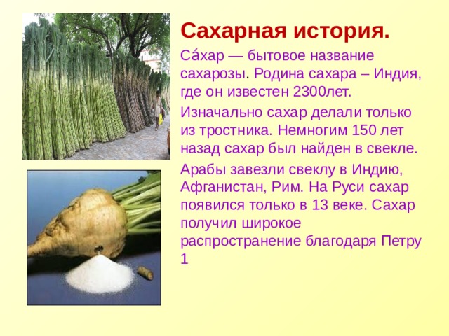 Сахарный тростник в россии. Сахарный тростник и сахарная свекла. Из чего делают сахар. Тростник из чего делают сахар. Из яего делается Сазар.