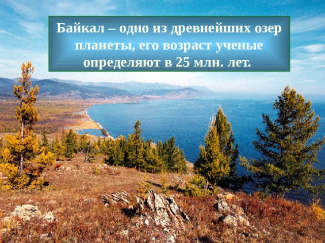 Байкал – одно из древнейших озер планеты, его возраст ученые определяют в 25 млн. лет.  