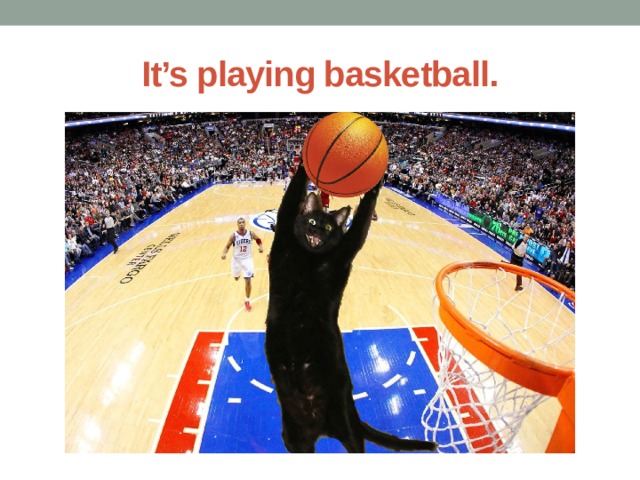 It’s playing basketball. 