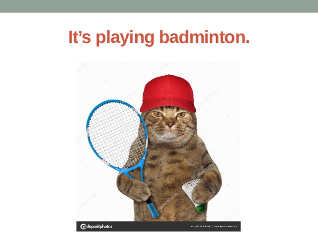 It’s playing badminton. 