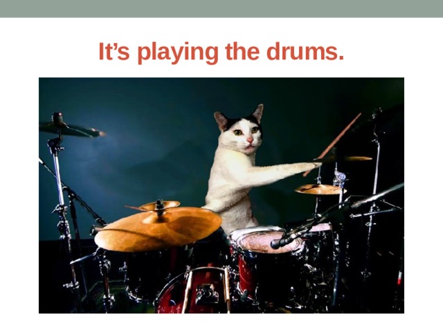 It’s playing the drums. 