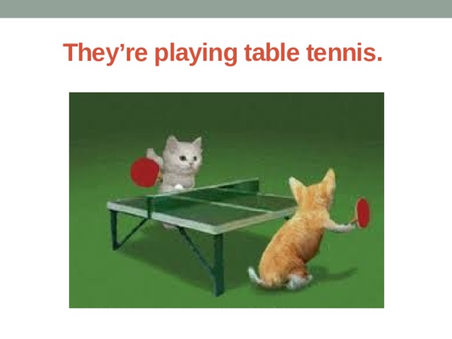 They’re playing table tennis. 