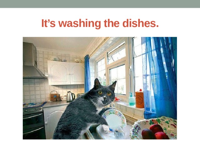 It’s washing the dishes. 