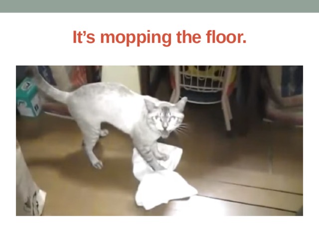It’s mopping the floor. 