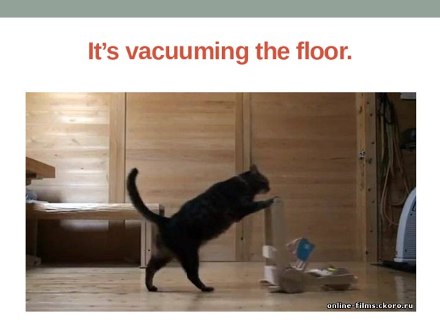 It’s vacuuming the floor. 
