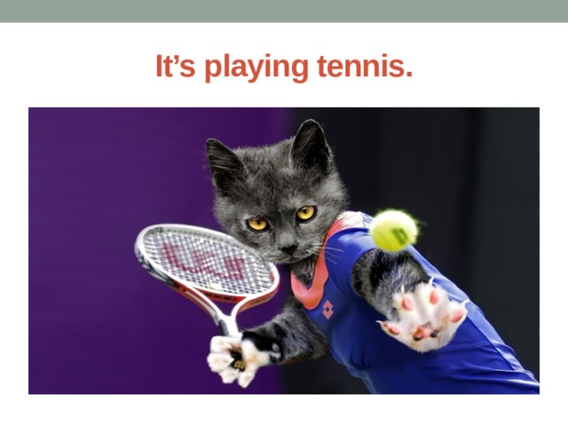 It’s playing tennis. 