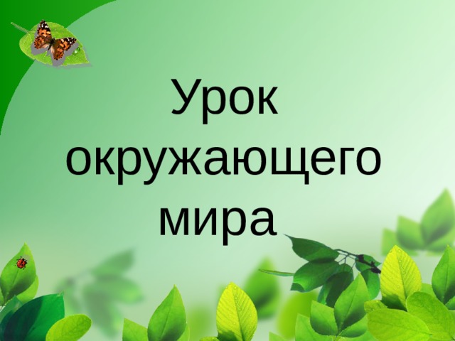 Конспект урока по окружающему миру 3 класс