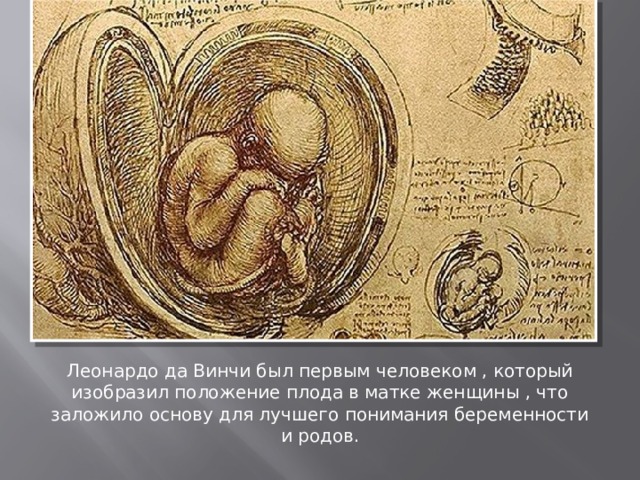 Акушерство Леонардо да Винчи был первым человеком , который изобразил положение плода в матке женщины , что заложило основу для лучшего понимания беременности и родов. 