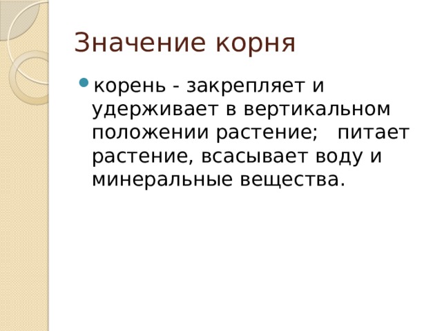 Значение корня корень - закрепляет и удерживает в вертикальном положении растение; питает растение, всасывает воду и минеральные вещества. 