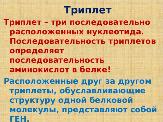 Триплет Триплет – три последовательно расположенных нуклеотида. Последовательность триплетов определяет последовательность аминокислот в белке! Расположенные друг за другом триплеты, обуславливающие структуру одной белковой молекулы, представляют собой ГЕН.   