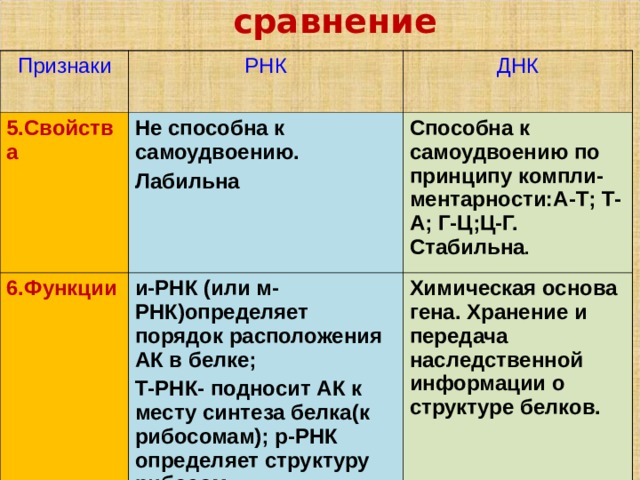 сравнение Признаки РНК 5.Свойства ДНК Не способна к самоудвоению. Лабильна 6.Функции Способна к самоудвоению по принципу компли-ментарности:А-Т; Т-А; Г-Ц;Ц-Г. Стабильна . и-РНК (или м-РНК)определяет порядок расположения АК в белке; Т-РНК- подносит АК к месту синтеза белка(к рибосомам); p -РНК определяет структуру рибосом. Химическая основа гена. Хранение и передача наследственной информации о структуре белков.  