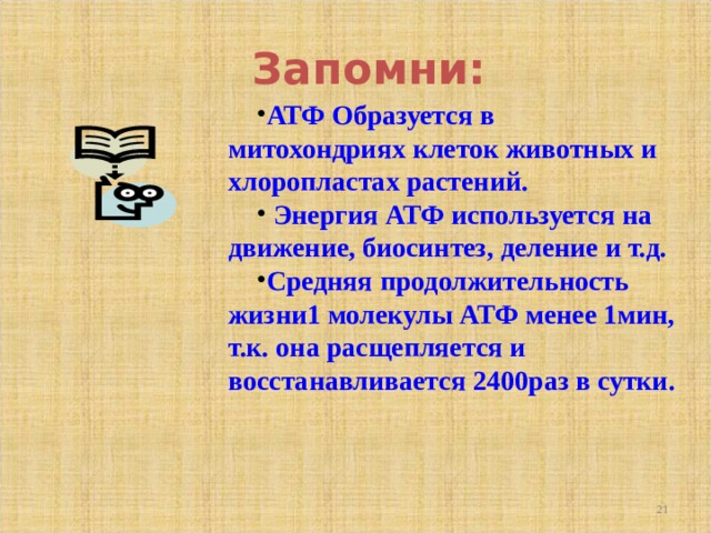 Запомни: АТФ Образуется в митохондриях клеток животных и хлоропластах растений.  Энергия АТФ используется на движение, биосинтез, деление и т.д. Средняя продолжительность жизни1 молекулы АТФ менее 1мин, т.к. она расщепляется и восстанавливается 2400раз в сутки.    