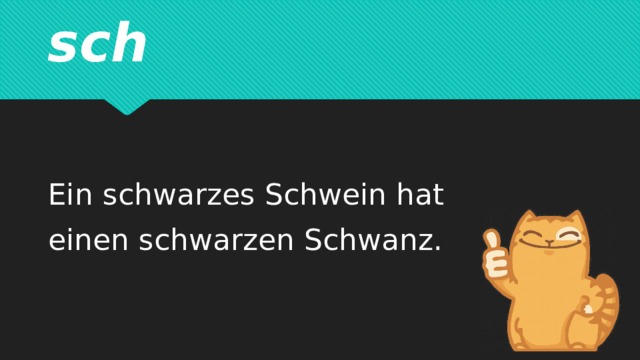  sch  Ein schwarzes Schwein hat einen schwarzen Schwanz. 