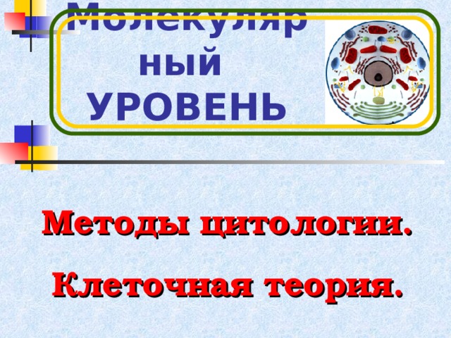 Молекулярный УРОВЕНЬ Методы цитологии. Клеточная теория. 