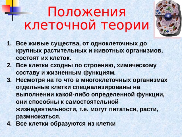Все живые существа, от одноклеточных до крупных растительных и животных организмов, состоят их клеток. Все клетки сходны по строению, химическому составу и жизненным функциям. Несмотря на то что в многоклеточных организмах отдельные клетки специализированы на выполнении какой-либо определенной функции, они способны к самостоятельной жизнедеятельности, т.е. могут питаться, расти, размножаться. Все клетки образуются из клетки 