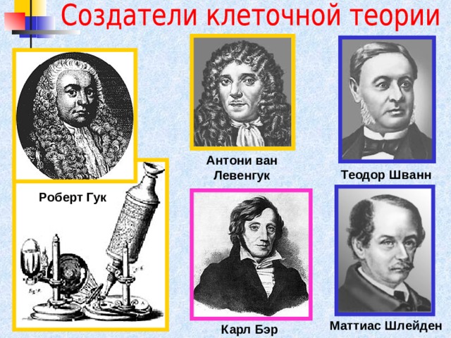Антони ван Левенгук Теодор Шванн Роберт Гук Маттиас Шлейден Карл Бэр 