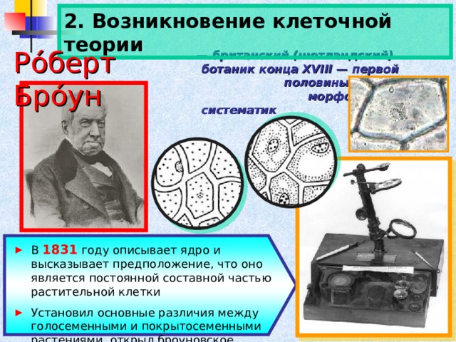 Появление клетки. Роберт клеточная теория. Броун клеточная теория. Роберт Броун описал в растительных клетках. Клеточная теория век.