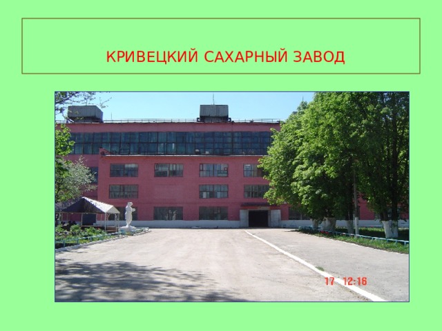  КРИВЕЦКИЙ САХАРНЫЙ ЗАВОД  