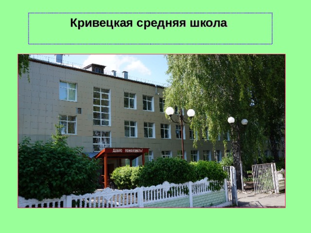 Кривецкая средняя школа 