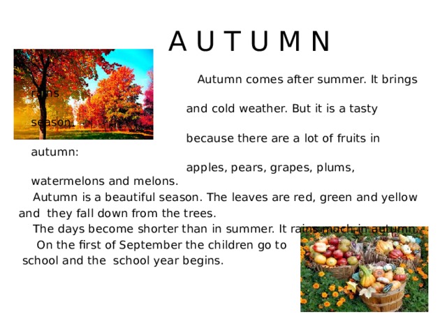  A U T U M N  Autumn comes after summer. It brings rains  and cold weather. But it is a tasty season,  because there are a lot of fruits in autumn:  apples, pears, grapes, plums, watermelons and melons.  Autumn is a beautiful season. The leaves are red, green and yellow and they fall down from the trees.  The days become shorter than in summer. It rains much in autumn.  On the first of September the children go to  school and the school year begins. 