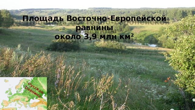 Русская равнина Площадь Восточно-Европейской равнины около 3,9 млн км²  