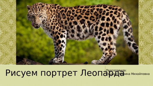 Рисуем портрет Леопарда Подготовила: Гоцина Марина Михайловна 