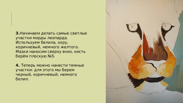 3. Начинаем делать самые светлые участки морды леопарда. Используем белила, охру, коричневый, немного желтого. Мазки наносим сверху вниз, кисть берём плоскую №5.  4. Теперь можно нанести темные участки: для этого мы берем черный, коричневый, немного белил. 