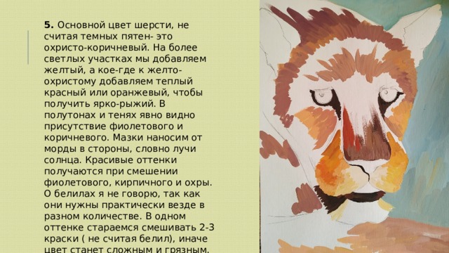 5. Основной цвет шерсти, не считая темных пятен- это охристо-коричневый. На более светлых участках мы добавляем желтый, а кое-где к желто-охристому добавляем теплый красный или оранжевый, чтобы получить ярко-рыжий. В полутонах и тенях явно видно присутствие фиолетового и коричневого. Мазки наносим от морды в стороны, словно лучи солнца. Красивые оттенки получаются при смешении фиолетового, кирпичного и охры. О белилах я не говорю, так как они нужны практически везде в разном количестве. В одном оттенке стараемся смешивать 2-3 краски ( не считая белил), иначе цвет станет сложным и грязным. Всего леопарда мы закрашиваем цветом основы.  