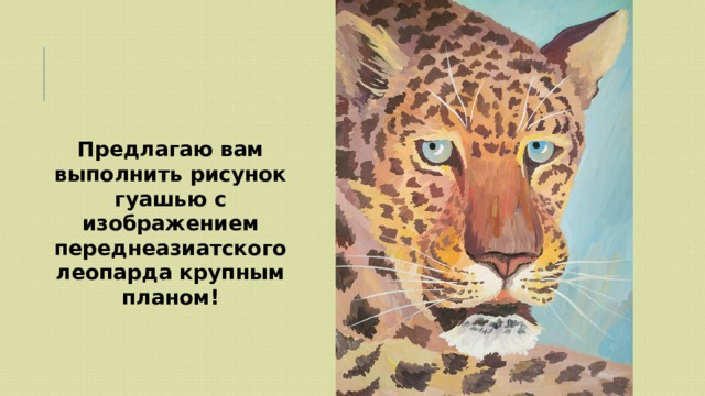 Предлагаю вам выполнить рисунок гуашью с изображением переднеазиатского леопарда крупным планом! 