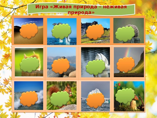 Игра неживая природа. Игра 