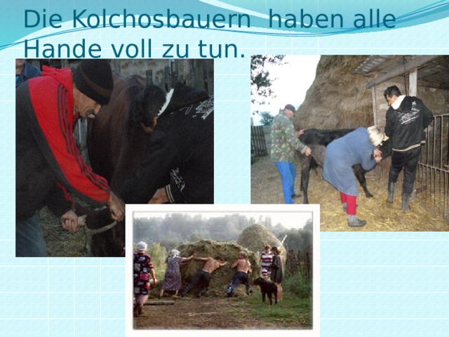 Die Kolchosbauern haben alle Hande voll zu tun. 