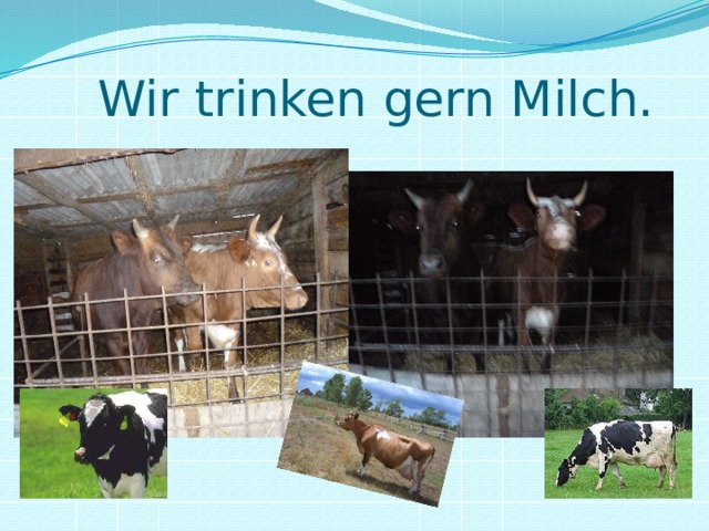 Wir trinken gern Milch.  