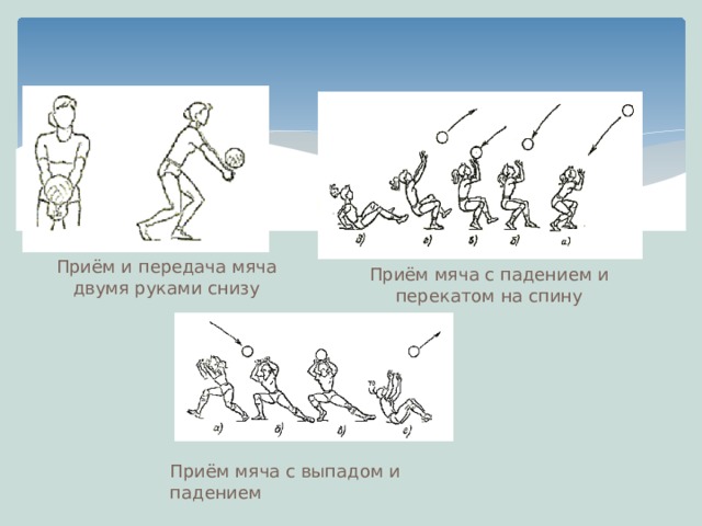 Последовательность подводящих упражнений при обучении приему мяча двумя руками снизу блок схема