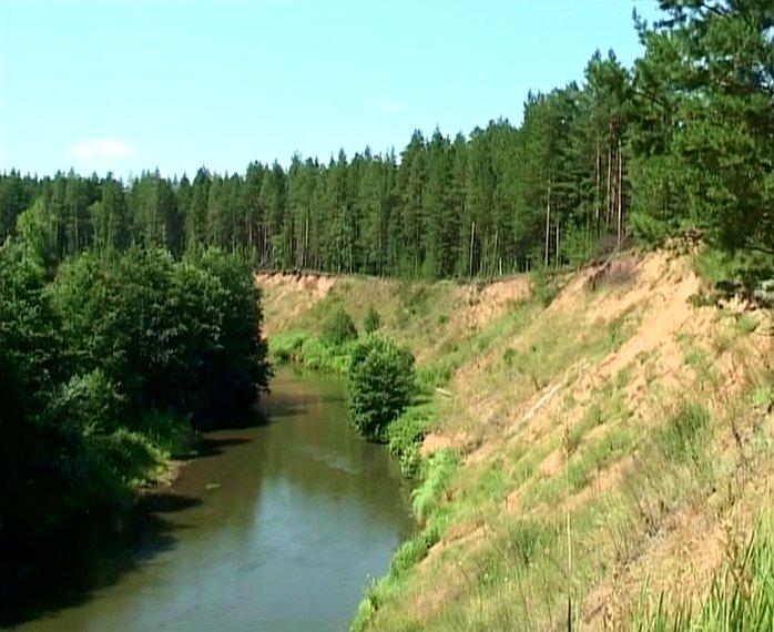 Фото бузулукского бора оренбургская область