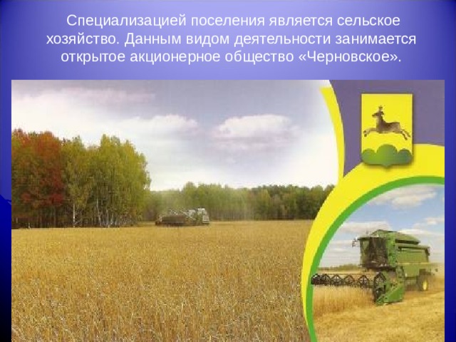 Специализацией поселения является сельское хозяйство. Данным видом деятельности занимается открытое акционерное общество «Черновское». 
