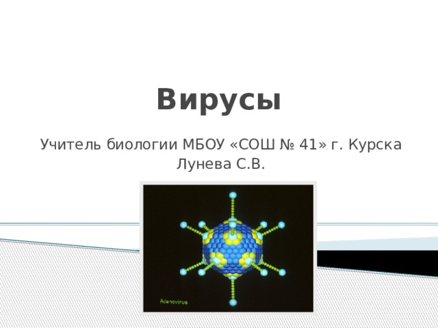 Вирусы Учитель биологии МБОУ «СОШ № 41» г. Курска Лунева С.В. 
