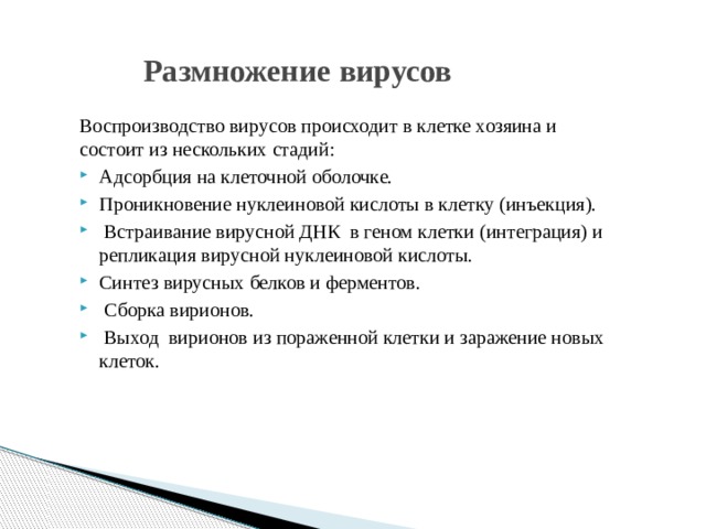 Размножение вирусов Воспроизводство вирусов происходит в клетке хозяина и состоит из нескольких стадий: Адсорбция на клеточной оболочке. Проникновение нуклеиновой кислоты в клетку (инъекция).  Встраивание вирусной ДНК в геном клетки (интеграция) и репликация вирусной нуклеиновой кислоты. Синтез вирусных белков и ферментов.  Сборка вирионов.  Выход вирионов из пораженной клетки и заражение новых клеток. 
