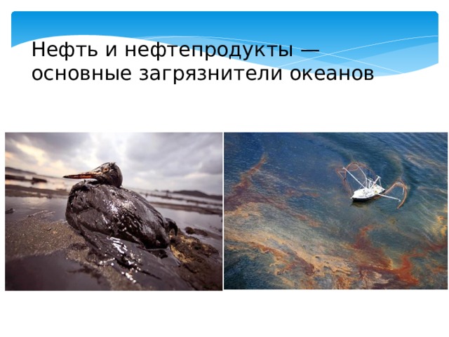 Нефть и нефтепродукты — основные загрязнители океанов 