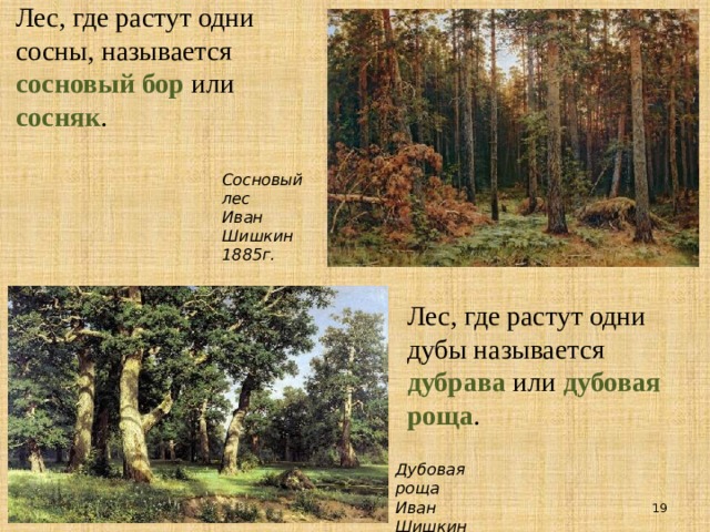 Лес, где растут одни сосны, называется сосновый бор или сосняк . Сосновый лес Иван Шишкин 1885г. Лес, где растут одни дубы называется дубрава или дубовая роща . Дубовая роща Иван Шишкин  1887г.  