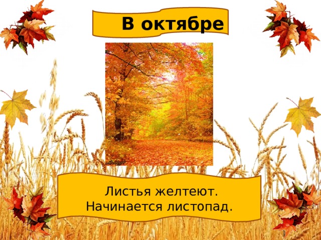 Начался листопад. Октябрь титульник. Желтеют листья в октябре. Детям об октябре титульник.